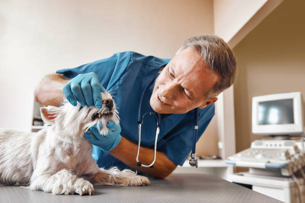 Best Emergency Wisdom Tooth Extraction in Pahokee, FL